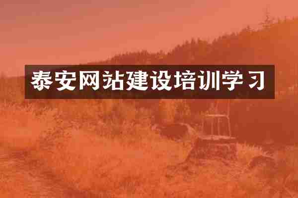泰安网站建设培训学习