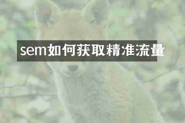 sem如何获取精准流量