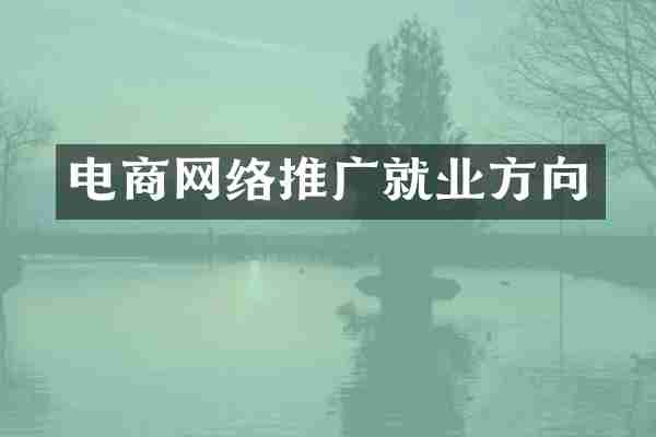 电商网络推广就业方向