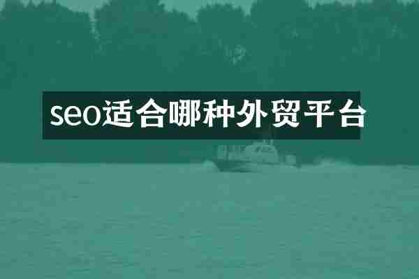 seo适合哪种外贸平台