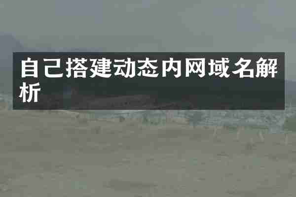 自己搭建动态内网域名解析
