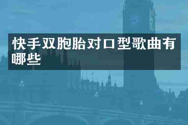 快手双胞胎对口型歌曲有哪些