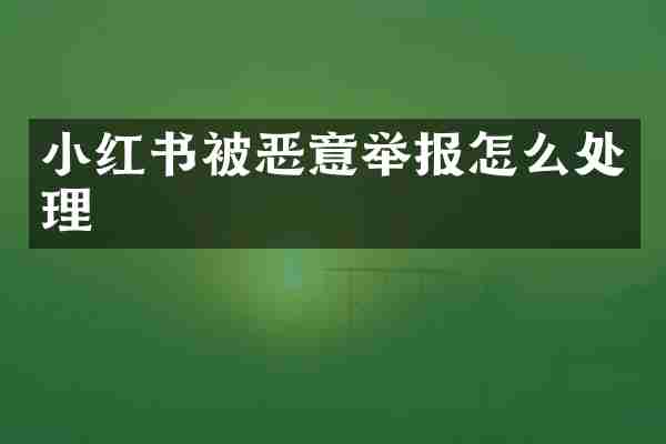 小红书被恶意举报怎么处理