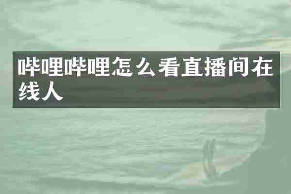 哔哩哔哩怎么看直播间在线人