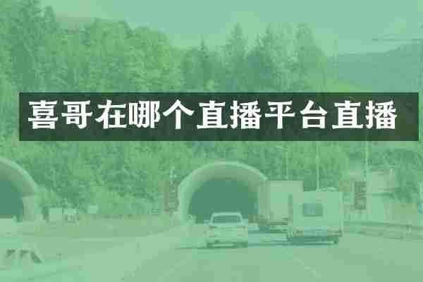 喜哥在哪个直播平台直播