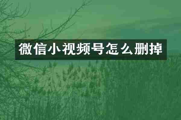 微信小视频号怎么删掉