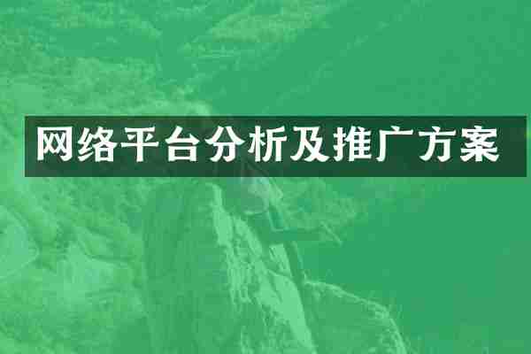 网络平台分析及推广方案