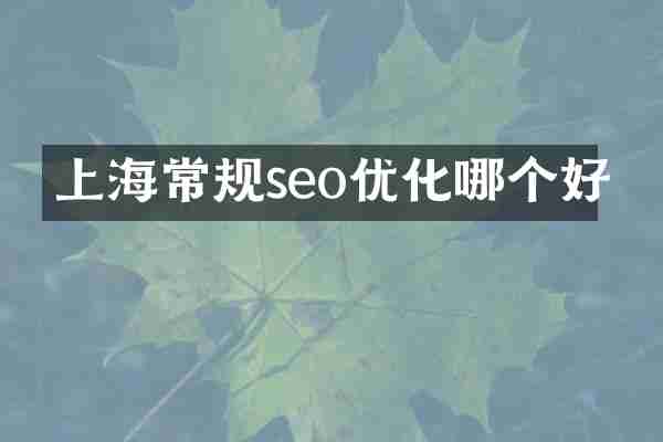 上海常规seo优化哪个好