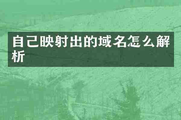 自己映射出的域名怎么解析