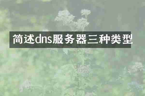 简述dns服务器三种类型