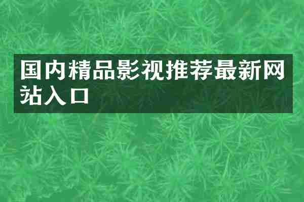 国内精品影视推荐最新网站入口