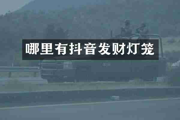 哪里有抖音发财灯笼