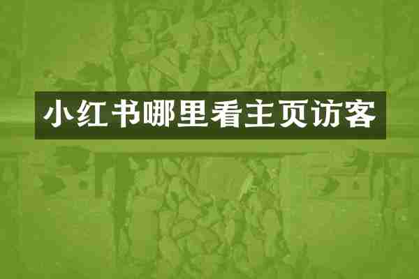 小红书哪里看主页访客