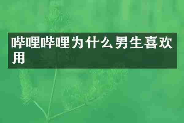 哔哩哔哩为什么男生喜欢用