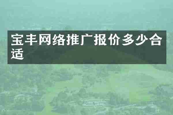 宝丰网络推广报价多少合适