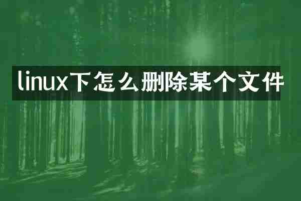 linux下怎么删除某个文件