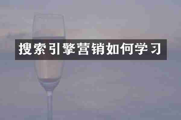 搜索引擎营销如何学习