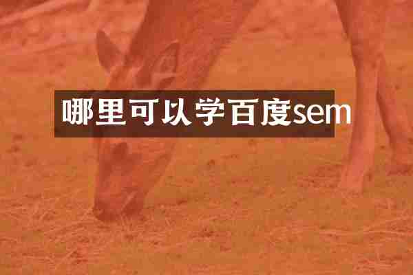 哪里可以学百度sem