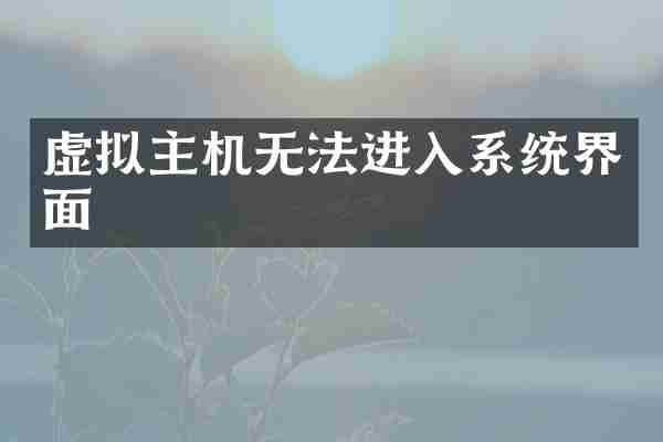 虚拟主机无法进入系统界面