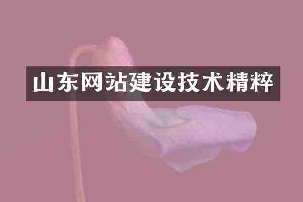 山东网站建设技术精粹