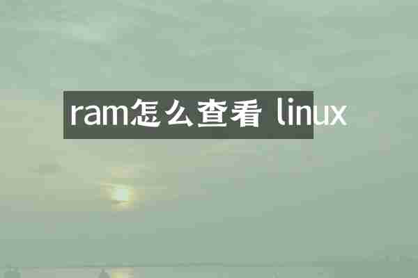 ram怎么查看 linux