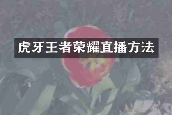 虎牙王者荣耀直播方法