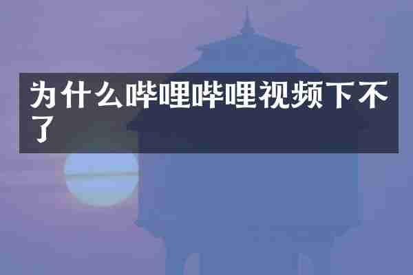 为什么哔哩哔哩视频下不了