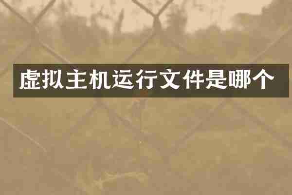 虚拟主机运行文件是哪个