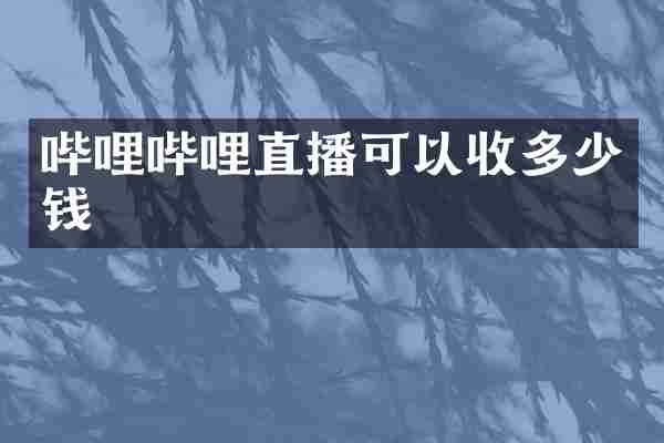 哔哩哔哩直播可以收多少钱