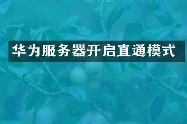 华为服务器开启直通模式
