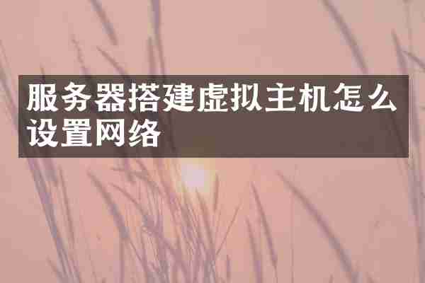 服务器搭建虚拟主机怎么设置网络