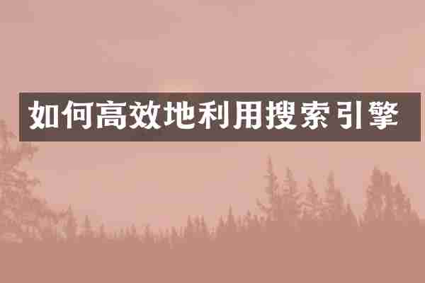 如何高效地利用搜索引擎