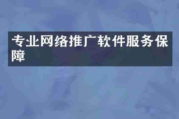 专业网络推广软件服务保障