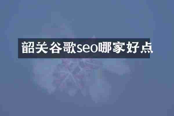 韶关谷歌seo哪家好点