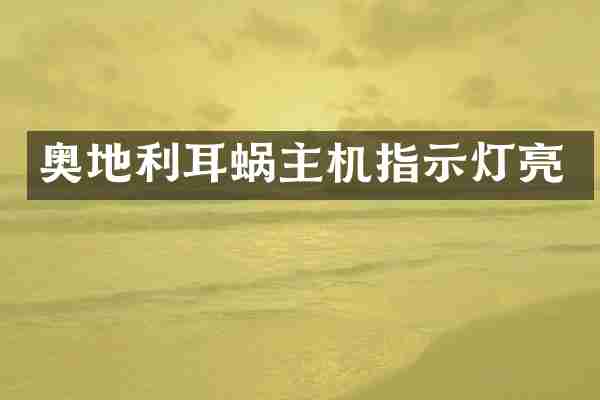 奥地利耳蜗主机指示灯亮