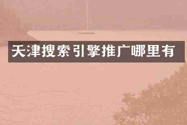 天津搜索引擎推广哪里有