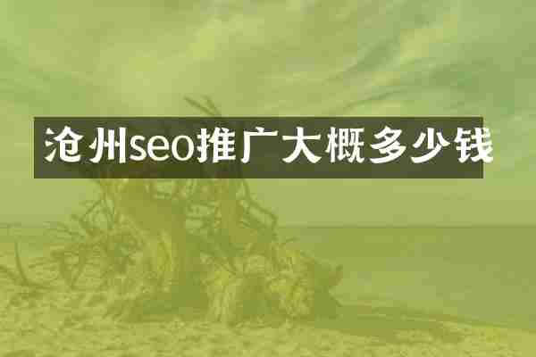沧州seo推广大概多少钱