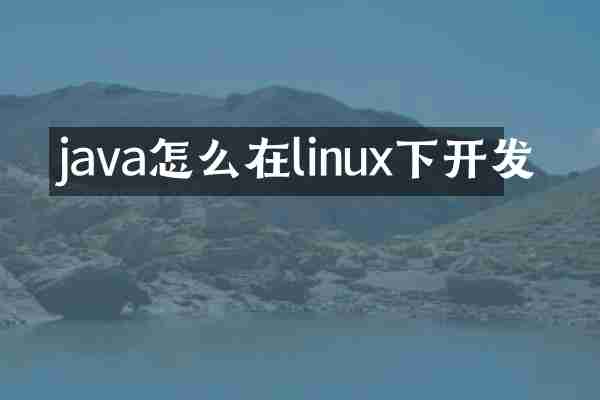 java怎么在linux下开发