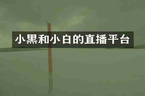 小黑和小白的直播平台