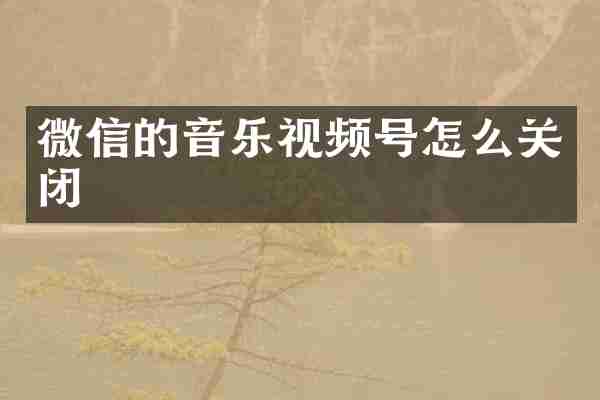 微信的音乐视频号怎么关闭