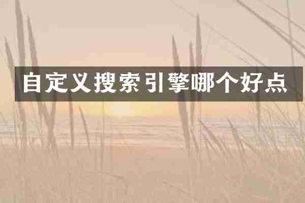 自定义搜索引擎哪个好点