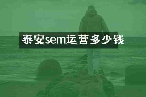 泰安sem运营多少钱