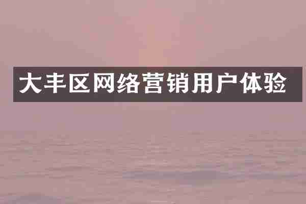 大丰区网络营销用户体验