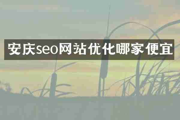 安庆seo网站优化哪家便宜