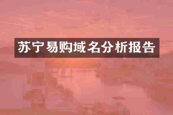苏宁易购域名分析报告