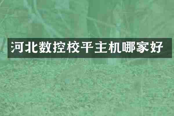 河北数控校平主机哪家好