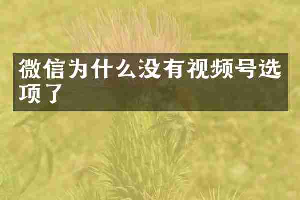 微信为什么没有视频号选项了