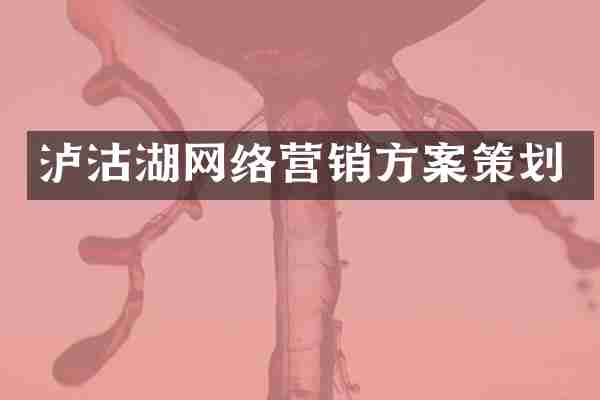 泸沽湖网络营销方案策划