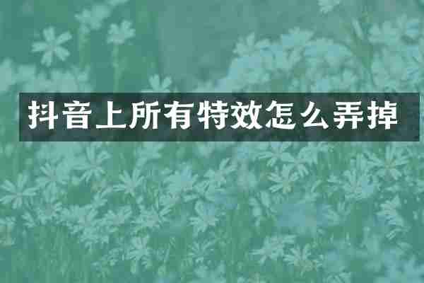 抖音上所有特效怎么弄掉