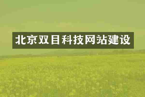 北京双目科技网站建设